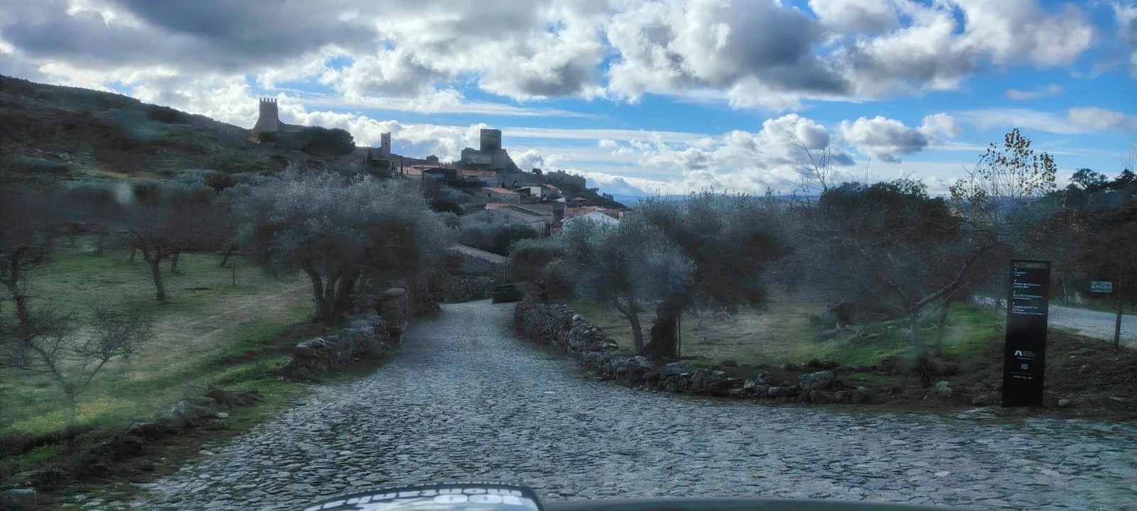 Caminho empedrado entre oliveiras rumo à aldeia histórica