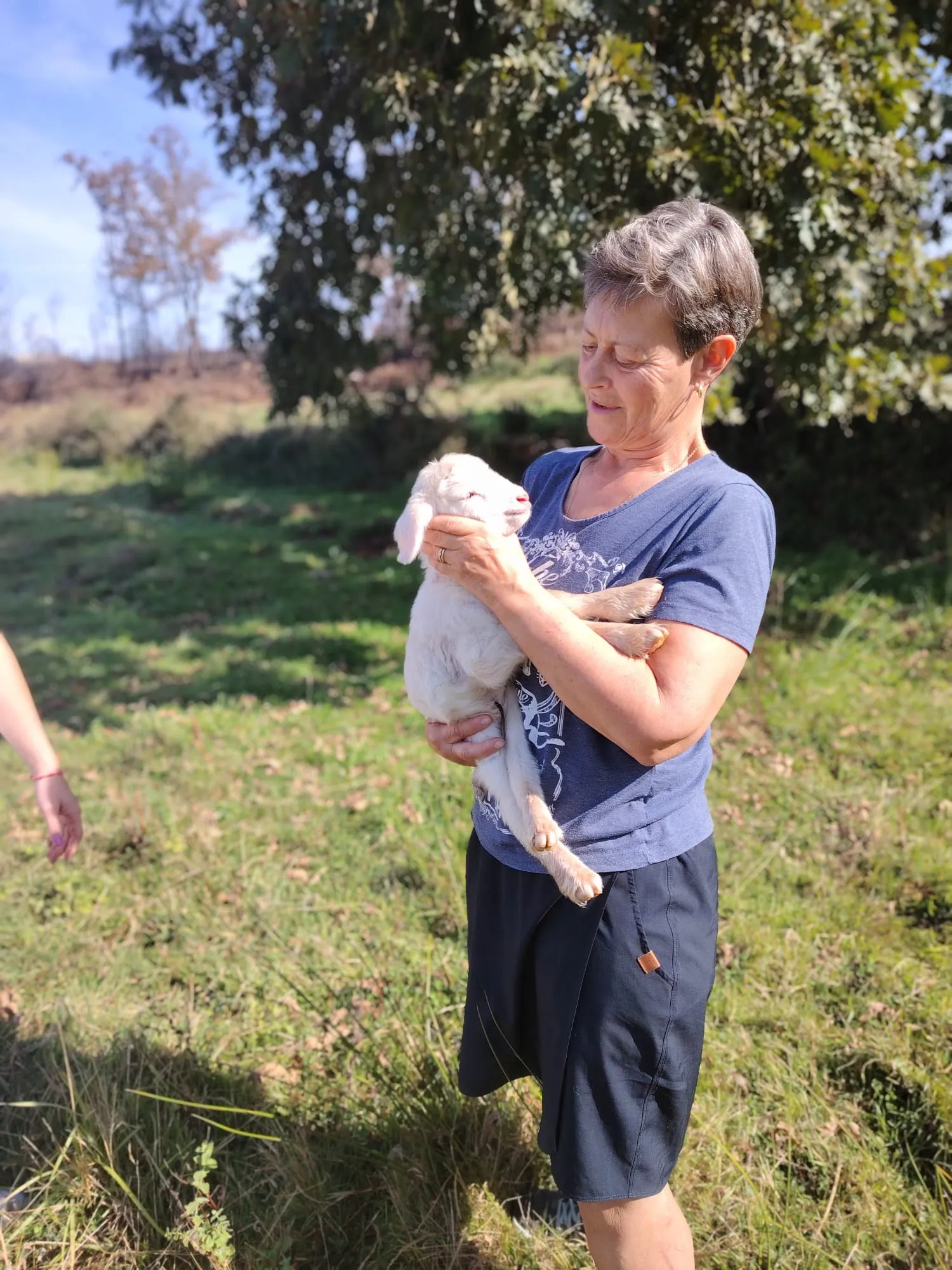 Cordeiro recém-nascido com pastora na serra