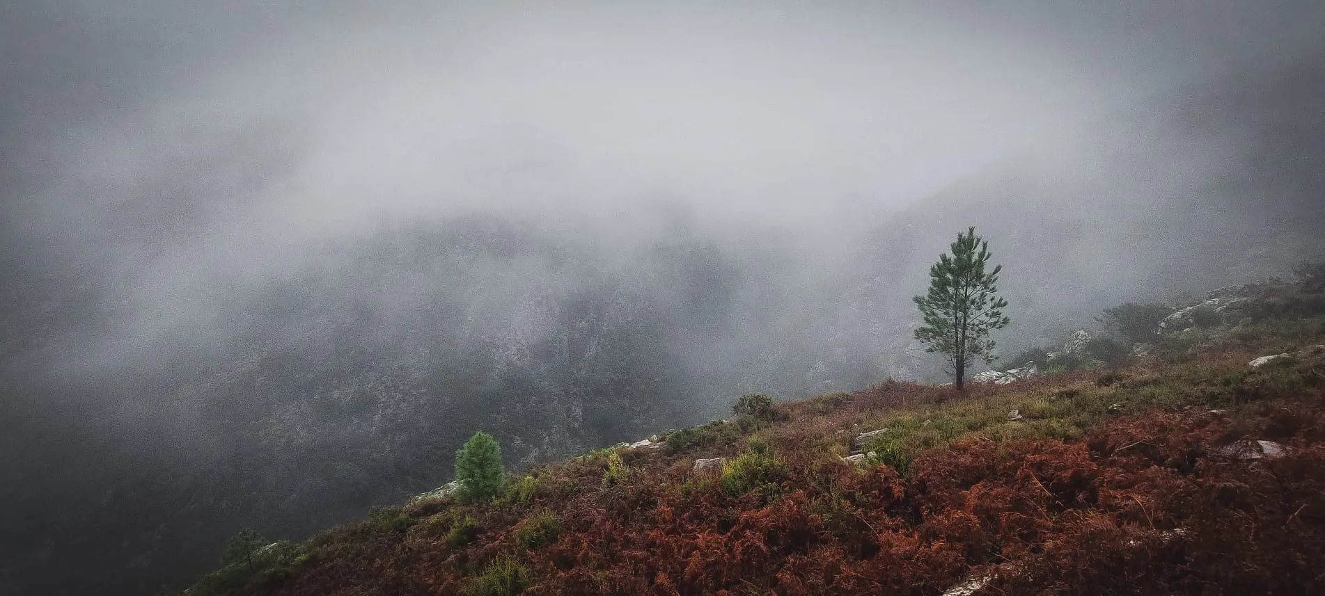 Trekking no Alvão - imagem 2