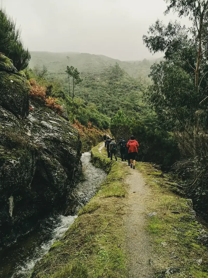 Grupo de caminhantes num trilho junto a uma levada, entre a névoa e o verde da Serra da Estrela