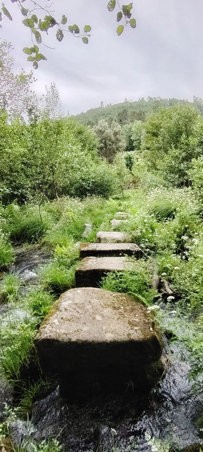 Trekking no Alvão - imagem 3